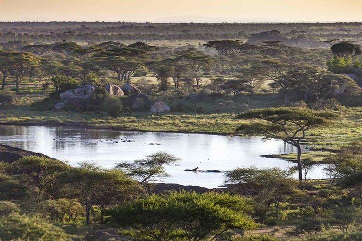 United Republic Of Tanzania